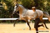 CHAMPIONNAT DE FRANCE 2010