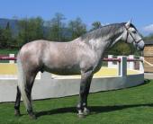 EQUITA LYON 2009