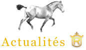 Dernières actualités