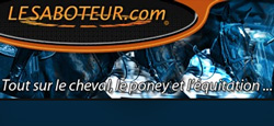 le saboteur