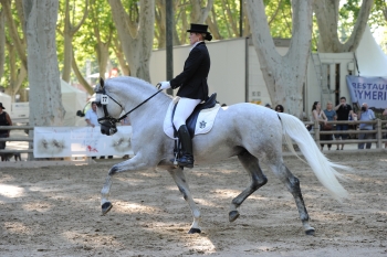 PARTICIPATION AU FESTIVAL DES ARTS EQUESTRES A UGINE (73)