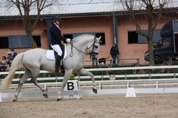 QUEMADOR.ER SUR LES CARRÉS DE DRESSAGE