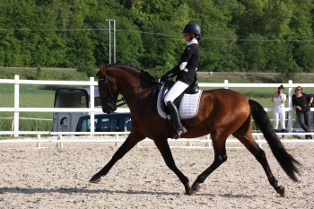 BON DÉBUT DE SAISON SUR LES CONCOURS DE DRESSAGE 2018