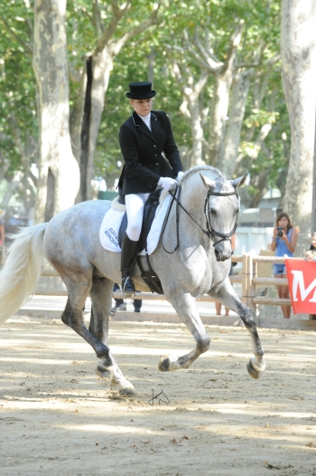 CONCOURS EQUUS GIRONA 2011 (ESPAGNE) CATÉGORIE A (SEPTEMBRE 2011)