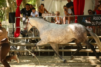 CHAMPIONNAT DE FRANCE 2019