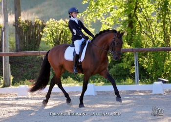 CONCOURS DE DRESSAGE ET CHAMPIONNAT DEPARTEMENTAL AIX-LES-BAINS