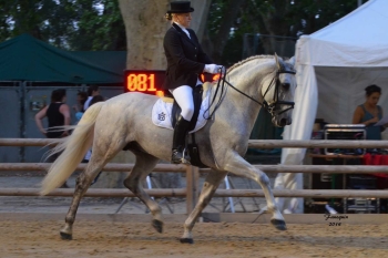 RESULTATS CHAMPIONNAT DE FRANCE 2014