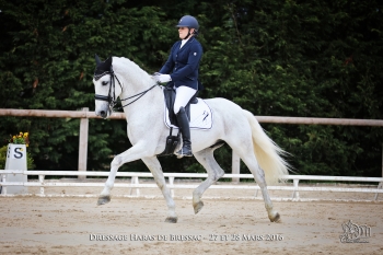 CONCOURS DE DRESSAGE DU 10 AVRIL 2016 A GROISY (74)