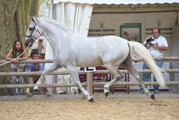 RESULTATS DU CHAMPIONNAT DE FRANCE 2015