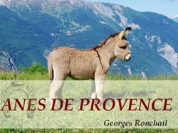 anes de Provence